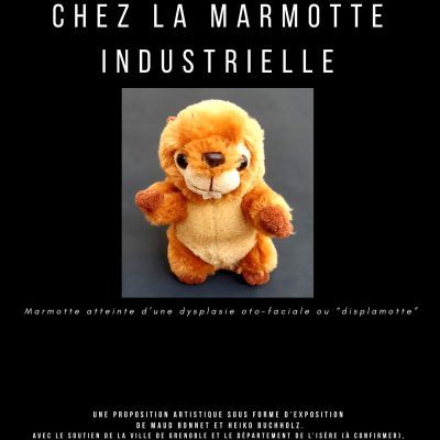 affiche marmotte